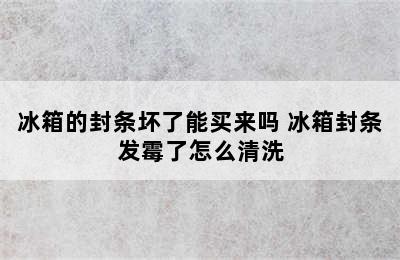 冰箱的封条坏了能买来吗 冰箱封条发霉了怎么清洗